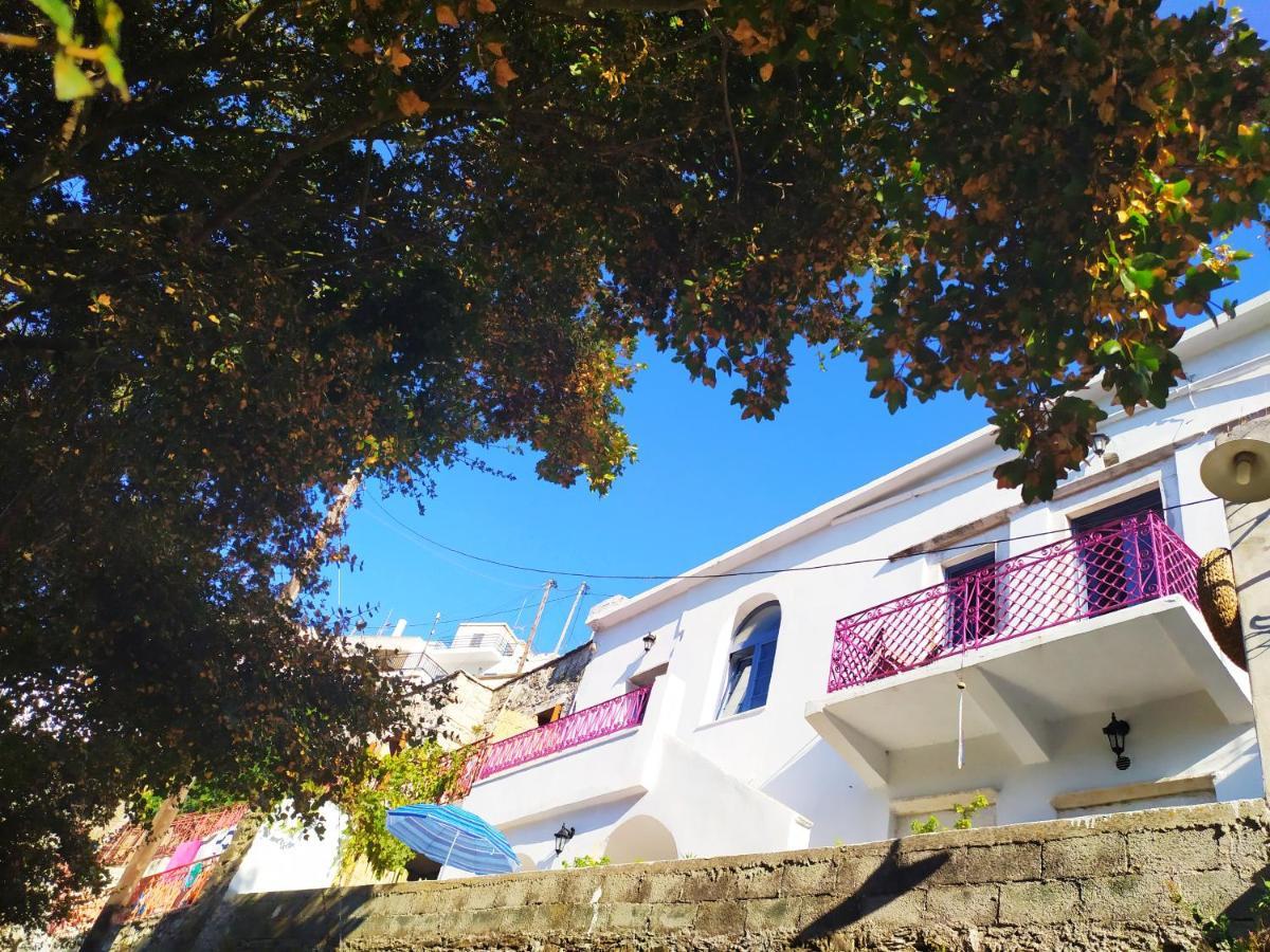 Traditional Family House, Ground Floor With Yard Koronos المظهر الخارجي الصورة